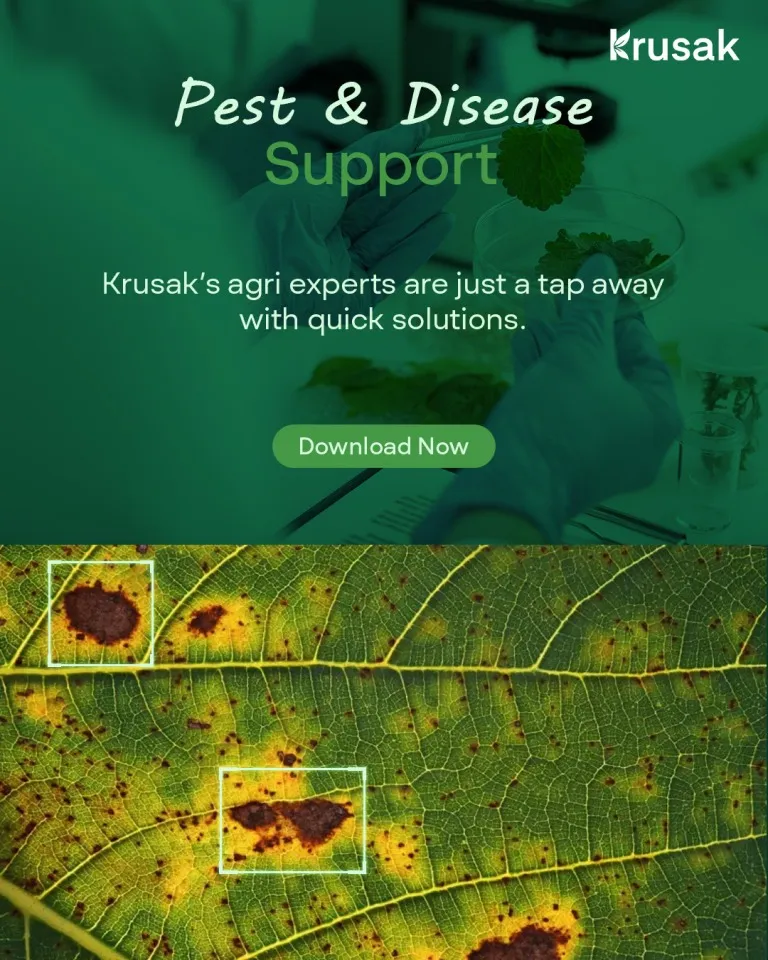 Krushak Gallery Content